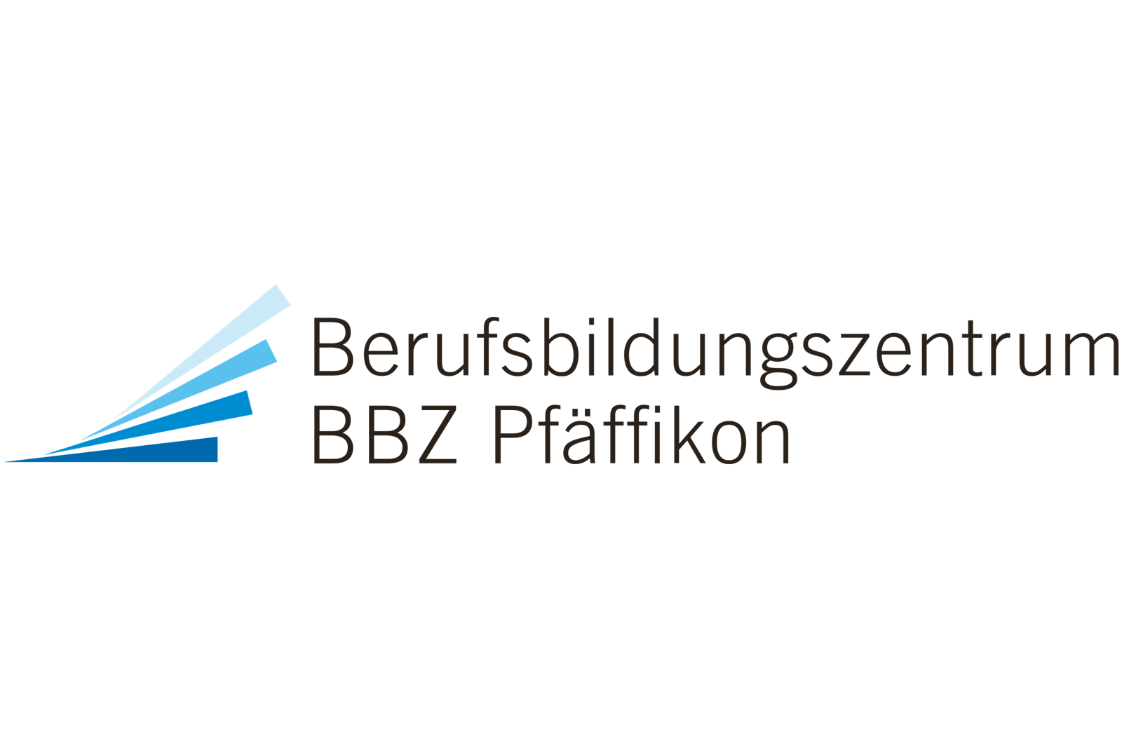 Logo des Beruflichen Bildungszentrums Braunschweig Pfaffenkamp mit blauen und weißen Büchern, die eine aufsteigende Linie bilden.