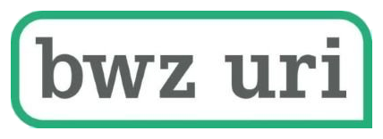 Logo mit dem Text "bzw uri" in Schwarz auf weißem Hintergrund, eingerahmt von einer grünen Linie.